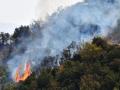 Climate change increases frequency of wildfires globally: Study - Hindi News | Climate change increases frequency of wildfires globally: Study | Latest international News at Lokmattimes.com