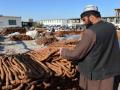 Afghanistan: Nangarhar unaffected due to closure of Torkham crossing with Pakistan - Hindi News | Afghanistan: Nangarhar unaffected due to closure of Torkham crossing with Pakistan | Latest international News at Lokmattimes.com