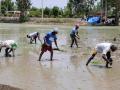 Erratic monsoon fuels inflation, affects rural demand: CARE Ratings - Hindi News | Erratic monsoon fuels inflation, affects rural demand: CARE Ratings | Latest politics News at Lokmattimes.com