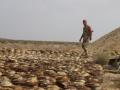 Saudi project clears 1,045 mines within week in Yemen - Hindi News | Saudi project clears 1,045 mines within week in Yemen | Latest international News at Lokmattimes.com