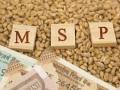 Cabinet clears MSP for copra for 2023 season - Hindi News | Cabinet clears MSP for copra for 2023 season | Latest politics News at Lokmattimes.com