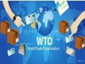 Rich countries stay bull-headed at WTO --refuse to lift waiver on Covid 19 drugs and equipment - Hindi News | Rich countries stay bull-headed at WTO --refuse to lift waiver on Covid 19 drugs and equipment | Latest national News at Lokmattimes.com