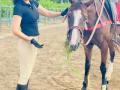 Kangana Ranaut spends her mornings with her horse 'Lightening' - Hindi News | Kangana Ranaut spends her mornings with her horse 'Lightening' | Latest lifestyle News at Lokmattimes.com