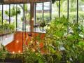 Prep your balcony garden to enjoy home grown desi vegetables - Hindi News | Prep your balcony garden to enjoy home grown desi vegetables | Latest lifestyle News at Lokmattimes.com