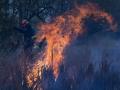 Wildfire in Greece injures 16 people - Hindi News | Wildfire in Greece injures 16 people | Latest politics News at Lokmattimes.com
