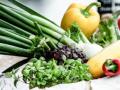On a quest for chemical-free veggies? - Hindi News | On a quest for chemical-free veggies? | Latest lifestyle News at Lokmattimes.com