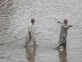 310 killed, 300 injured as heavy rains continue to wreak havoc in Pakistan - Hindi News | 310 killed, 300 injured as heavy rains continue to wreak havoc in Pakistan | Latest international News at Lokmattimes.com