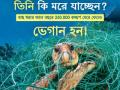 PETA highlights plight of turtles suffering due to plastic fishing gear - Hindi News | PETA highlights plight of turtles suffering due to plastic fishing gear | Latest national News at Lokmattimes.com
