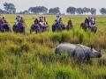 Roaming space for rhinos to be increased at Jaldapara National Park - Hindi News | Roaming space for rhinos to be increased at Jaldapara National Park | Latest national News at Lokmattimes.com