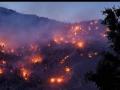 Massive fire sweeps chilgoza pine forest in Himachal - Hindi News | Massive fire sweeps chilgoza pine forest in Himachal | Latest national News at Lokmattimes.com
