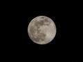 China might be contemplating a 'takeover' of the Moon, says NASA administrator - Hindi News | China might be contemplating a 'takeover' of the Moon, says NASA administrator | Latest international News at Lokmattimes.com