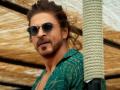 SRK gives hilarious reply to fan waiting outside Mannat to catch a glimpse of superstar - Hindi News | SRK gives hilarious reply to fan waiting outside Mannat to catch a glimpse of superstar | Latest entertainment News at Lokmattimes.com