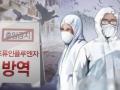 S.Korea culls chickens over bird flu outbreaks - Hindi News | S.Korea culls chickens over bird flu outbreaks | Latest politics News at Lokmattimes.com