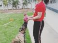 Preity Zinta spends 'pool day' with pet pup - Hindi News | Preity Zinta spends 'pool day' with pet pup | Latest entertainment News at Lokmattimes.com