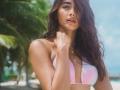 Why Pooja Hegde signed up for Rohit Shetty's 'Cirkus' - Hindi News | Why Pooja Hegde signed up for Rohit Shetty's 'Cirkus' | Latest entertainment News at Lokmattimes.com
