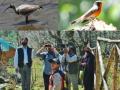 Birdwatching community raises alarm as bird count at Srinagar's Hokersar wetland dwindles - Hindi News | Birdwatching community raises alarm as bird count at Srinagar's Hokersar wetland dwindles | Latest international News at Lokmattimes.com