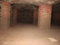 132-year-old British-era tunnel discovered in Sir J.J. Hospital campus - Hindi News | 132-year-old British-era tunnel discovered in Sir J.J. Hospital campus | Latest maharashtra News at Lokmattimes.com