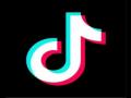TikTok-Oracle deal to result in separate US firm: Report - Hindi News | TikTok-Oracle deal to result in separate US firm: Report | Latest technology News at Lokmattimes.com