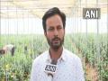 Man starts modern farming in Jaipur after leaving job in Singapore - Hindi News | Man starts modern farming in Jaipur after leaving job in Singapore | Latest national News at Lokmattimes.com