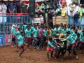 TN's first Jallikattu festival held in Pudukottai, 74 injured - Hindi News | TN's first Jallikattu festival held in Pudukottai, 74 injured | Latest politics News at Lokmattimes.com
