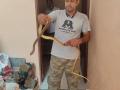 5-foot Indian rat snake rescued from refrigerator stand in Agra - Hindi News | 5-foot Indian rat snake rescued from refrigerator stand in Agra | Latest national News at Lokmattimes.com