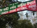 Congress fumes as Assam govt drops Rajiv Gandhi's name from national park - Hindi News | Congress fumes as Assam govt drops Rajiv Gandhi's name from national park | Latest politics News at Lokmattimes.com