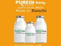 Milk startup Puresh Daily raises Rs 1.2 crore in seed round - Hindi News | Milk startup Puresh Daily raises Rs 1.2 crore in seed round | Latest business News at Lokmattimes.com