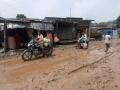 Farmers in Purnea plant paddy seeds on NH stretch filled with muddy puddles - Hindi News | Farmers in Purnea plant paddy seeds on NH stretch filled with muddy puddles | Latest politics News at Lokmattimes.com