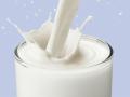 Milk powder stock at 8,400 tonnes lower than others: Aavin - Hindi News | Milk powder stock at 8,400 tonnes lower than others: Aavin | Latest business News at Lokmattimes.com