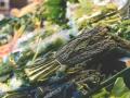 Plant-based living - Hindi News | Plant-based living | Latest lifestyle News at Lokmattimes.com