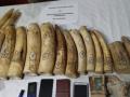 K'taka police bust antique racket; recover 7.5 kgs ivory articles - Hindi News | K'taka police bust antique racket; recover 7.5 kgs ivory articles | Latest national News at Lokmattimes.com