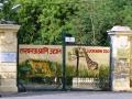 Ailing lion dies at Lucknow Zoo - Hindi News | Ailing lion dies at Lucknow Zoo | Latest national News at Lokmattimes.com
