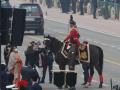 President's Bodyguard horse 'Virat' retires from service - Hindi News | President's Bodyguard horse 'Virat' retires from service | Latest politics News at Lokmattimes.com