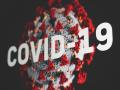 Covid-19 was created as a 'bioweapon' by China: Wuhan researcher - Hindi News | Covid-19 was created as a 'bioweapon' by China: Wuhan researcher | Latest politics News at Lokmattimes.com