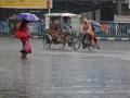 North Bengal sees heavy rains, Darjeeling suspends trekking - Hindi News | North Bengal sees heavy rains, Darjeeling suspends trekking | Latest international News at Lokmattimes.com