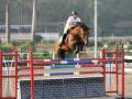 National Equestrian: Zahan Setalvad claims NEC Grand Prix title for 3rd time - Hindi News | National Equestrian: Zahan Setalvad claims NEC Grand Prix title for 3rd time | Latest other-sports News at Lokmattimes.com