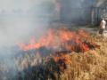 Farm fires from Pakistan to increase air pollution load for Delhi-NCR (Lead, correcting day in para 2) - Hindi News | Farm fires from Pakistan to increase air pollution load for Delhi-NCR (Lead, correcting day in para 2) | Latest international News at Lokmattimes.com
