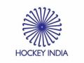 HI to provide Rs 1 lakh/year to state units for website maintenance - Hindi News | HI to provide Rs 1 lakh/year to state units for website maintenance | Latest hockey News at Lokmattimes.com