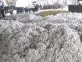 Maha farmers to make bonfire of 1000-quintal cotton as output, prices drop - Hindi News | Maha farmers to make bonfire of 1000-quintal cotton as output, prices drop | Latest politics News at Lokmattimes.com