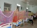 Lucknow reports 7 new dengue cases - Hindi News | Lucknow reports 7 new dengue cases | Latest national News at Lokmattimes.com