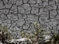 Energy crisis deepens in Europe as extreme drought hits electricity output - Hindi News | Energy crisis deepens in Europe as extreme drought hits electricity output | Latest politics News at Lokmattimes.com