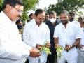 KCR visits farmers in fields, urges paddy farmers to change crops - Hindi News | KCR visits farmers in fields, urges paddy farmers to change crops | Latest politics News at Lokmattimes.com