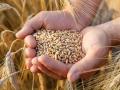 Kiev denounces EU countries' plans to extend Ukrainian grain import ban - Hindi News | Kiev denounces EU countries' plans to extend Ukrainian grain import ban | Latest politics News at Lokmattimes.com