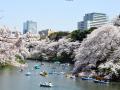 Foreign visitors to Japan reached 1.89 mn in May - Hindi News | Foreign visitors to Japan reached 1.89 mn in May | Latest international News at Lokmattimes.com