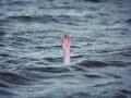 Two students drowns to death in Kerala’s Malappuram - Hindi News | Two students drowns to death in Kerala’s Malappuram | Latest national News at Lokmattimes.com