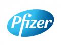 COVID-19 vaccine will be ready by year end in 'best case scenario': Pfizer - Hindi News | COVID-19 vaccine will be ready by year end in 'best case scenario': Pfizer | Latest international News at Lokmattimes.com
