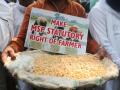Cabinet nod to MSP hike for Rabi crops, rise highest for oilseeds, pulses - Hindi News | Cabinet nod to MSP hike for Rabi crops, rise highest for oilseeds, pulses | Latest politics News at Lokmattimes.com