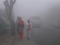 Cold wave condition grips Odisha, mercury dips at many places - Hindi News | Cold wave condition grips Odisha, mercury dips at many places | Latest national News at Lokmattimes.com