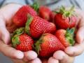 Eat strawberries, oranges daily to cut risk of cognitive decline - Hindi News | Eat strawberries, oranges daily to cut risk of cognitive decline | Latest health News at Lokmattimes.com