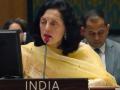 India expresses concern over shelling near Ukraine nuclear plant - Hindi News | India expresses concern over shelling near Ukraine nuclear plant | Latest politics News at Lokmattimes.com